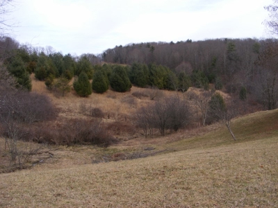 92 Acre Mountain Farm in Floyd County VA! - image 14