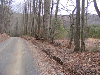 92 Acre Mountain Farm in Floyd County VA! - image 36