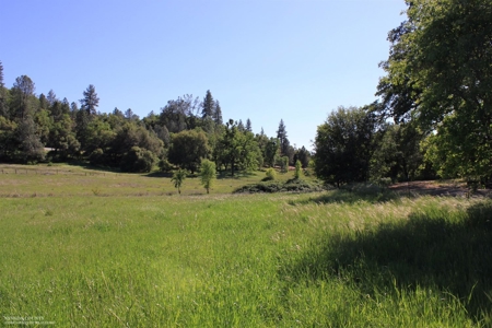 Historic 35 Acre Cattle Ranch in Grass Valley - image 2