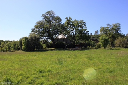 Historic 35 Acre Cattle Ranch in Grass Valley - image 3
