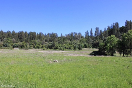 Historic 35 Acre Cattle Ranch in Grass Valley - image 4