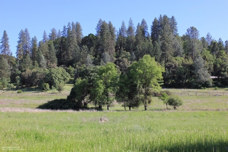 Historic 35 Acre Cattle Ranch in Grass Valley - image 5