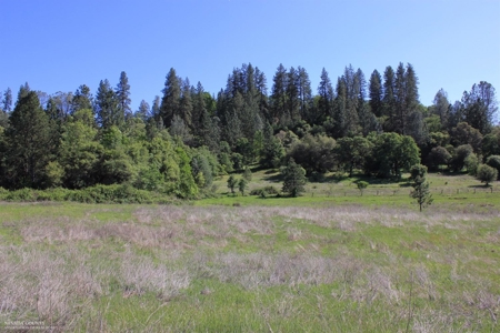 Historic 35 Acre Cattle Ranch in Grass Valley - image 6