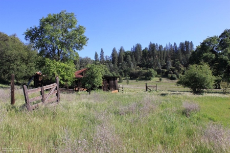 Historic 35 Acre Cattle Ranch in Grass Valley - image 7