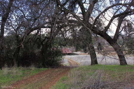 Historic 35 Acre Cattle Ranch in Grass Valley - image 10