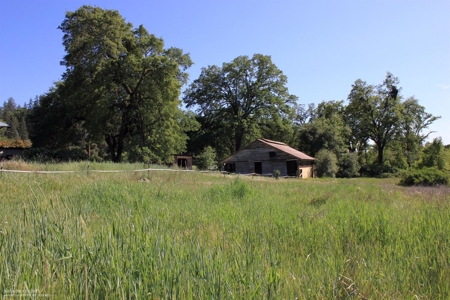 Historic 35 Acre Cattle Ranch in Grass Valley - image 11