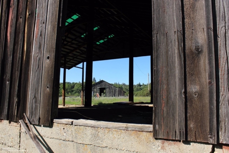Historic 35 Acre Cattle Ranch in Grass Valley - image 15