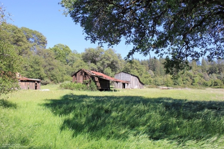 Historic 35 Acre Cattle Ranch in Grass Valley - image 18