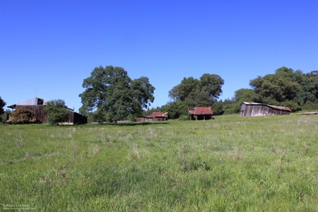 Historic 35 Acre Cattle Ranch in Grass Valley - image 27