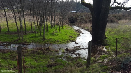 Historic 35 Acre Cattle Ranch in Grass Valley - image 29