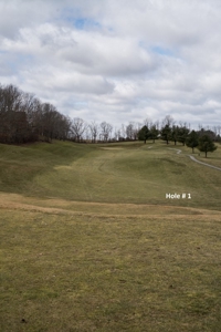 Auburn Hills Golf Course for Sale in VA - image 33