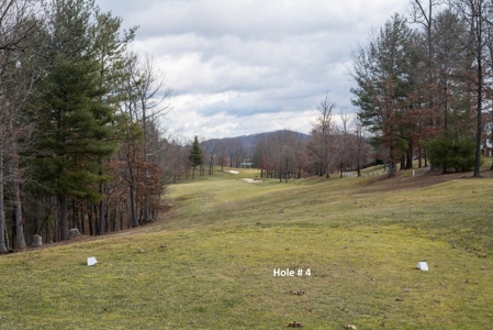 Auburn Hills Golf Course for Sale in VA - image 38