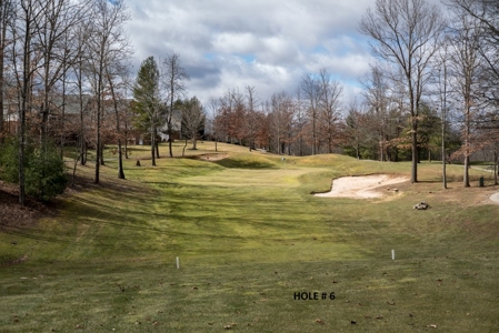 Auburn Hills Golf Course for Sale in VA - image 42