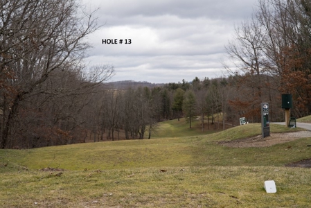 Auburn Hills Golf Course for Sale in VA - image 46