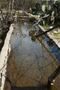 Hunting & Cattle Ranch with minerals in west Texas $475/ac - image 20
