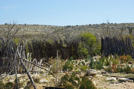 Hunting & Cattle Ranch with minerals in west Texas $475/ac - image 3