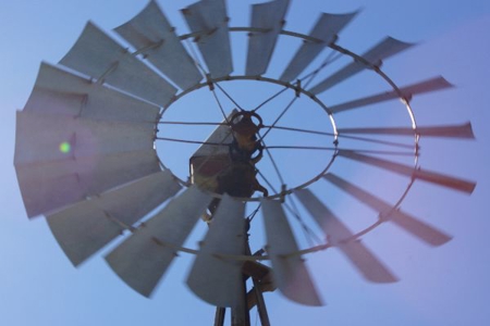 Hunting & Cattle Ranch with minerals in west Texas $475/ac - image 4
