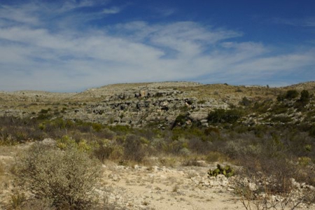 Hunting & Cattle Ranch with minerals in west Texas $475/ac - image 9