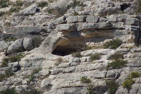 Hunting & Cattle Ranch with minerals in west Texas $475/ac - image 10