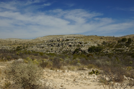 Hunting & Cattle Ranch with minerals in west Texas $475/ac - image 29