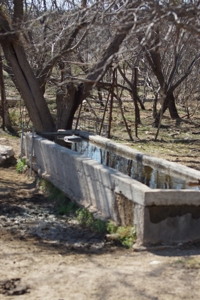 Hunting & Cattle Ranch with minerals in west Texas $475/ac - image 25
