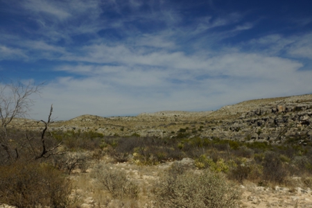 Hunting & Cattle Ranch with minerals in west Texas $475/ac - image 30