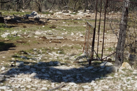 Hunting & Cattle Ranch with minerals in west Texas $475/ac - image 17