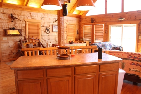 Cherokee Lakefront Log Cabin For Sale East Tennessee - image 20