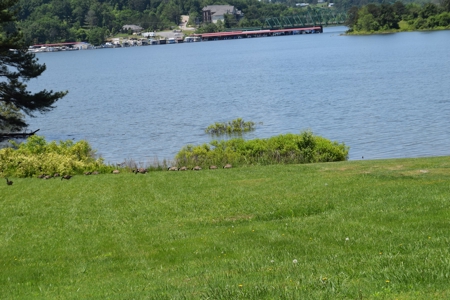 Cherokee Lakefront Log Cabin For Sale East Tennessee - image 32