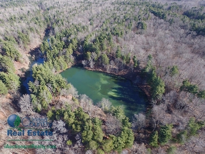 Warrick County, Indiana Land iAuction - image 3