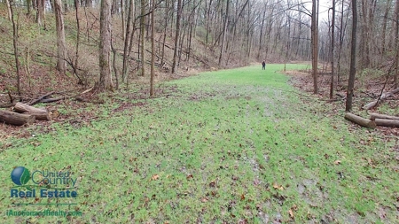 Warrick County, Indiana Land iAuction - image 11