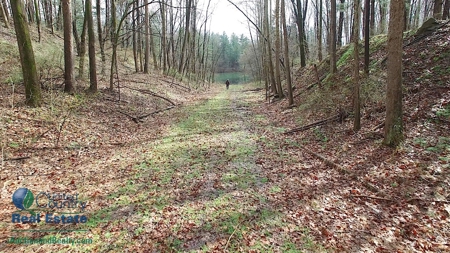 Warrick County, Indiana Land iAuction - image 16