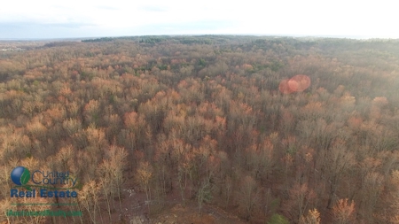 Warrick County, Indiana Land iAuction - image 42