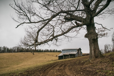 Farm and Home for Sale in Floyd VA! - image 1