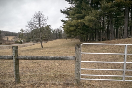Farm and Home for Sale in Floyd VA! - image 4