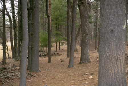 Farm and Home for Sale in Floyd VA! - image 5