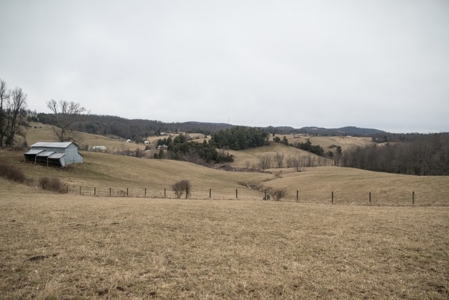 Farm and Home for Sale in Floyd VA! - image 10