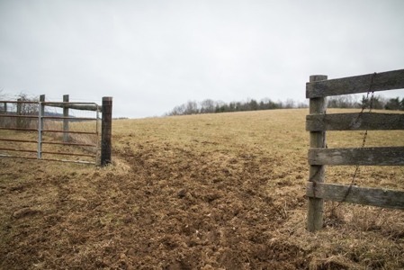 Farm and Home for Sale in Floyd VA! - image 14