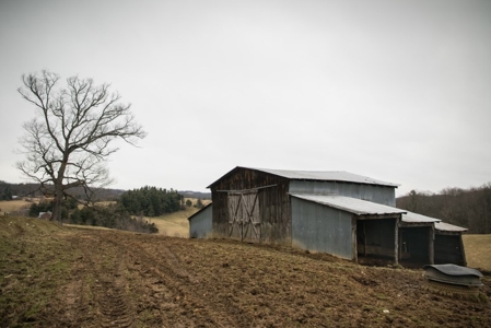 Farm and Home for Sale in Floyd VA! - image 15