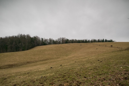 Farm and Home for Sale in Floyd VA! - image 16