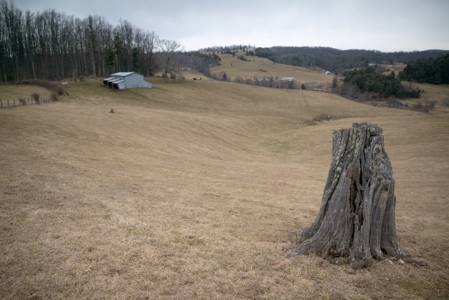 Farm and Home for Sale in Floyd VA! - image 18