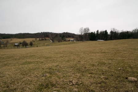 Farm and Home for Sale in Floyd VA! - image 21