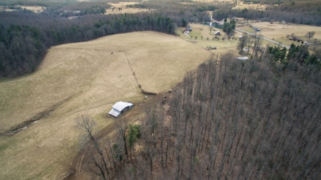 Farm and Home for Sale in Floyd VA! - image 29
