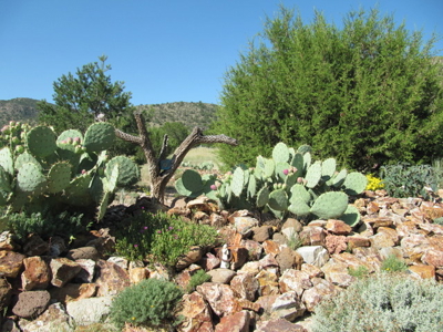 Energy Efficient Custom Built Country Home Near Silver City - image 14