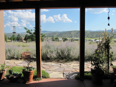 Energy Efficient Custom Built Country Home Near Silver City - image 28