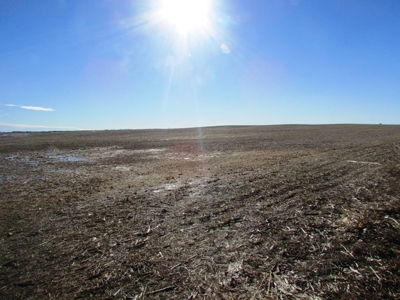 SOLD! $1,925 per acre Land, $330,000 Home, Equip SOLD! - image 3