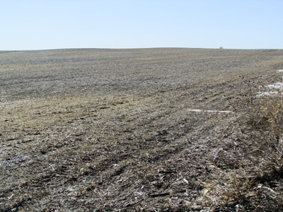 SOLD! $1,925 per acre Land, $330,000 Home, Equip SOLD! - image 6