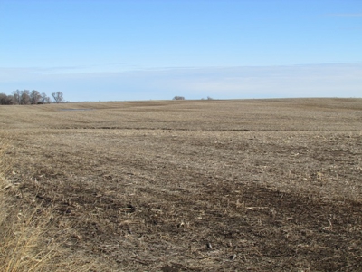SOLD! $1,925 per acre Land, $330,000 Home, Equip SOLD! - image 7