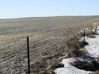 SOLD! $1,925 per acre Land, $330,000 Home, Equip SOLD! - image 9
