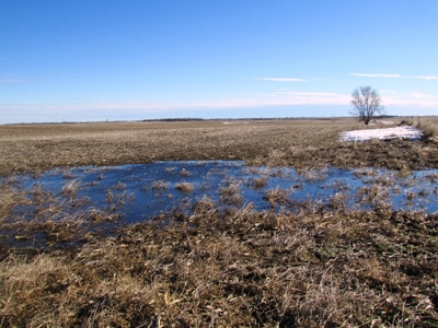 SOLD! $1,925 per acre Land, $330,000 Home, Equip SOLD! - image 11